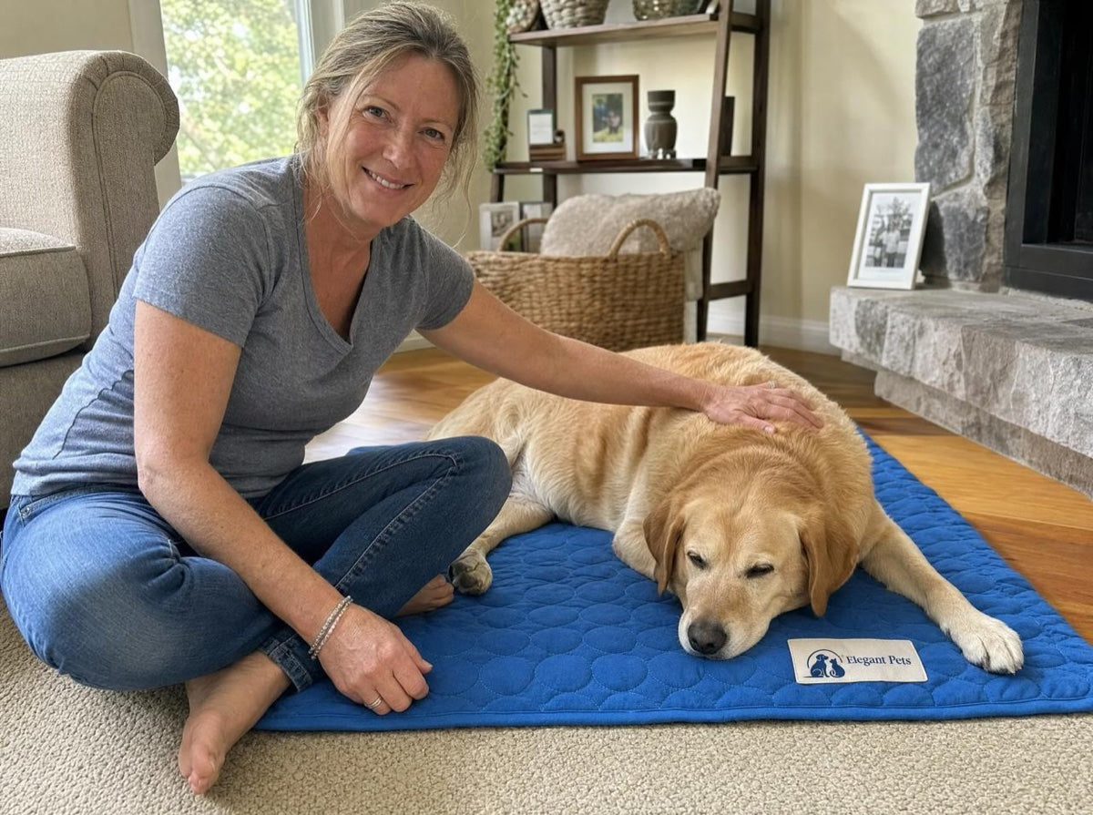 Dog resting comfortably on the Elegant Pets cooling mat