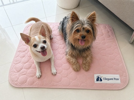 Happy dog on the CoolRest cooling mat