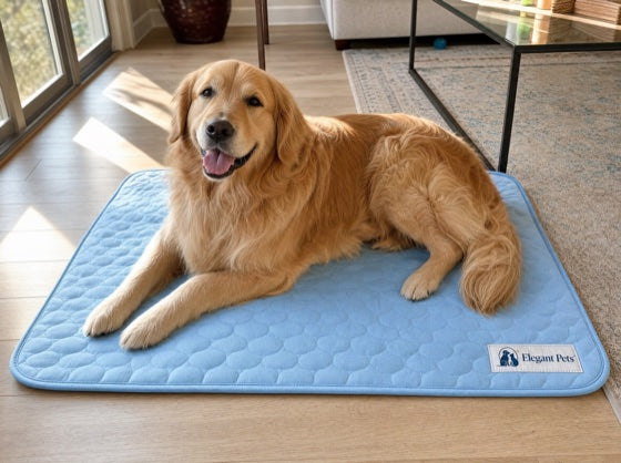Happy dog on the CoolRest cooling mat