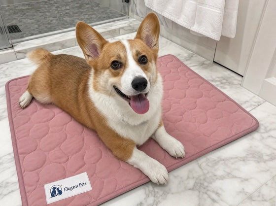 Happy dog on the CoolRest cooling mat